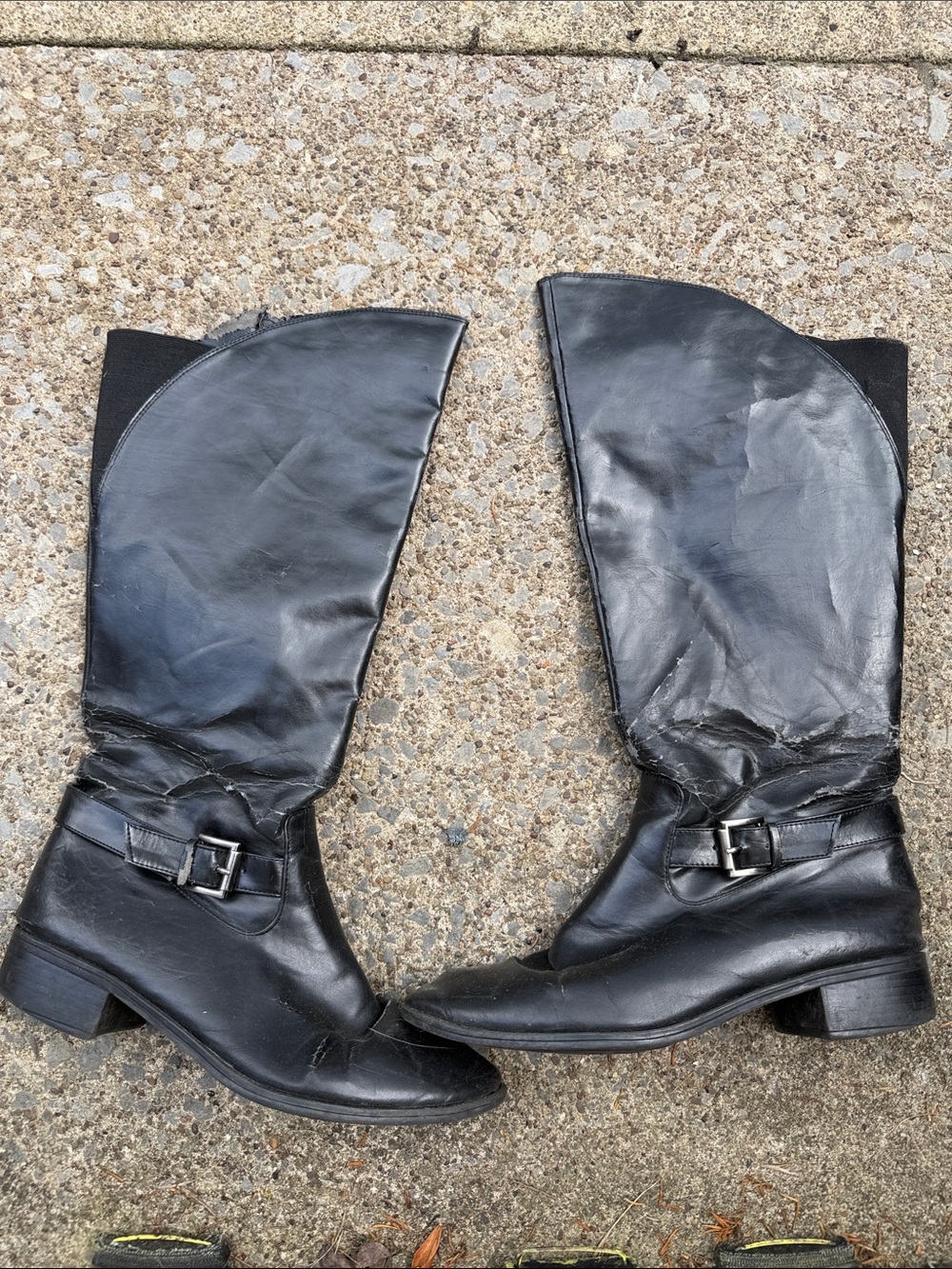 Very used Black Leather Mid-Calf Women's Riding Boots